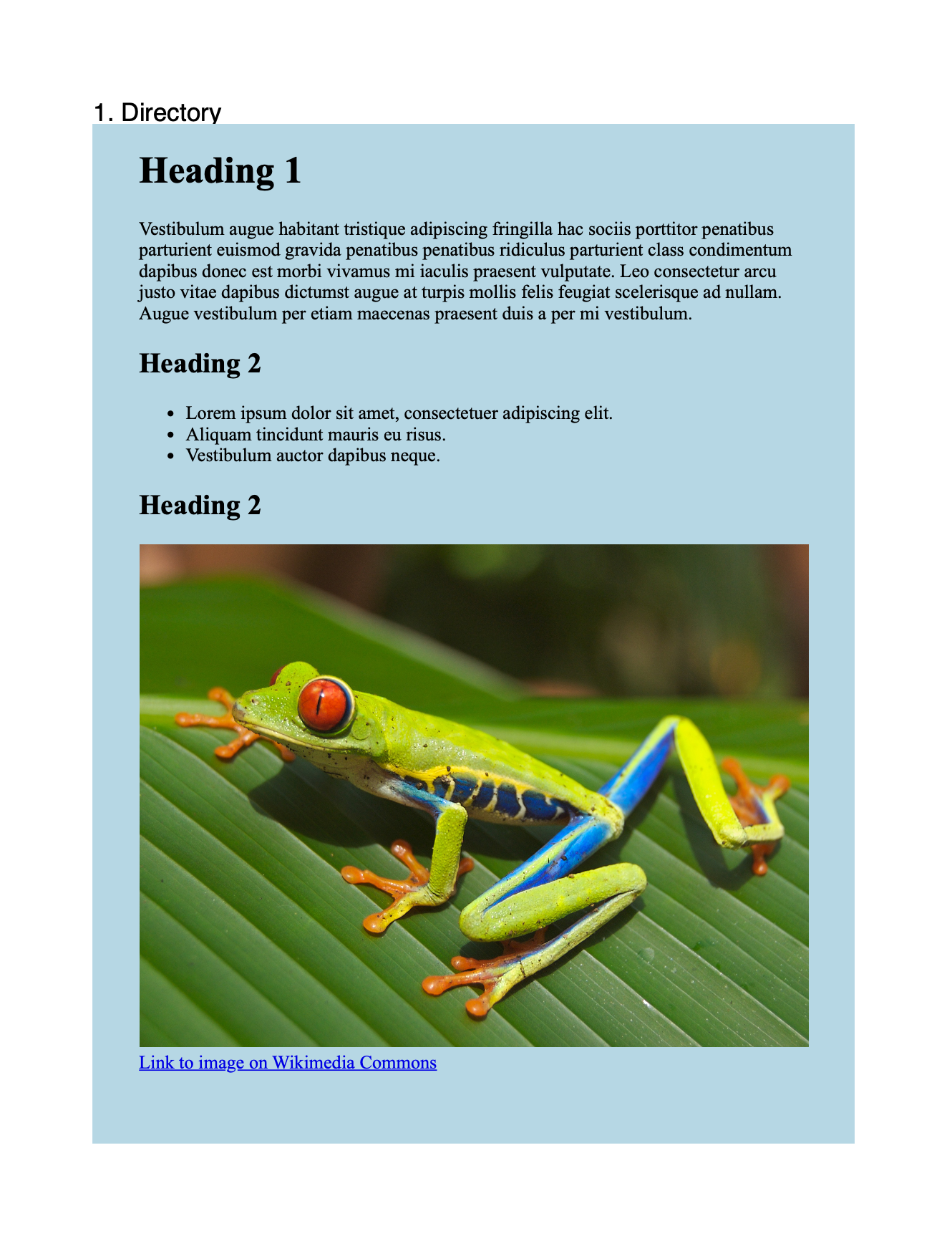 Converted HTML under a numbered chapter heading