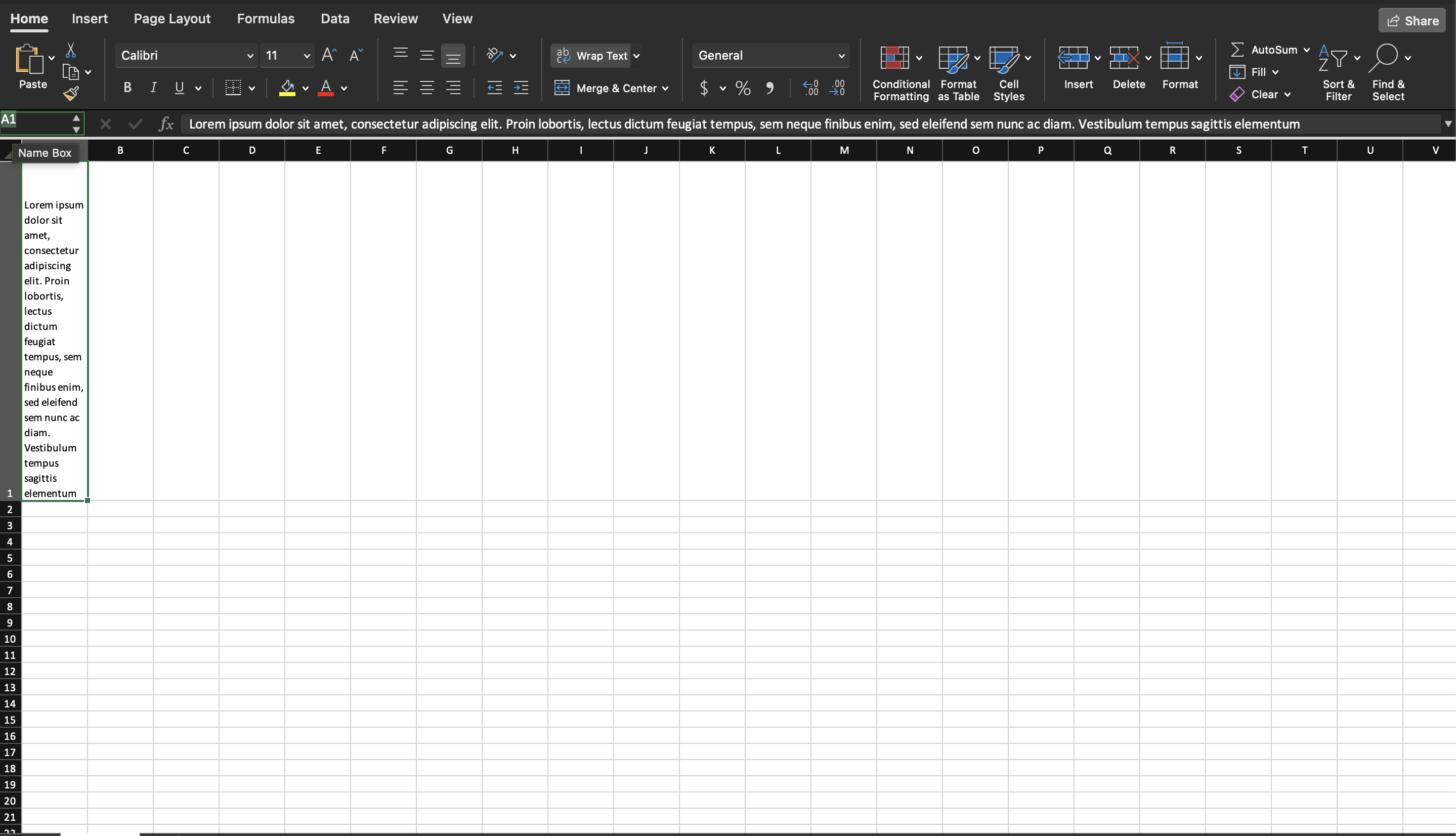Long text wrapped inside a single cell