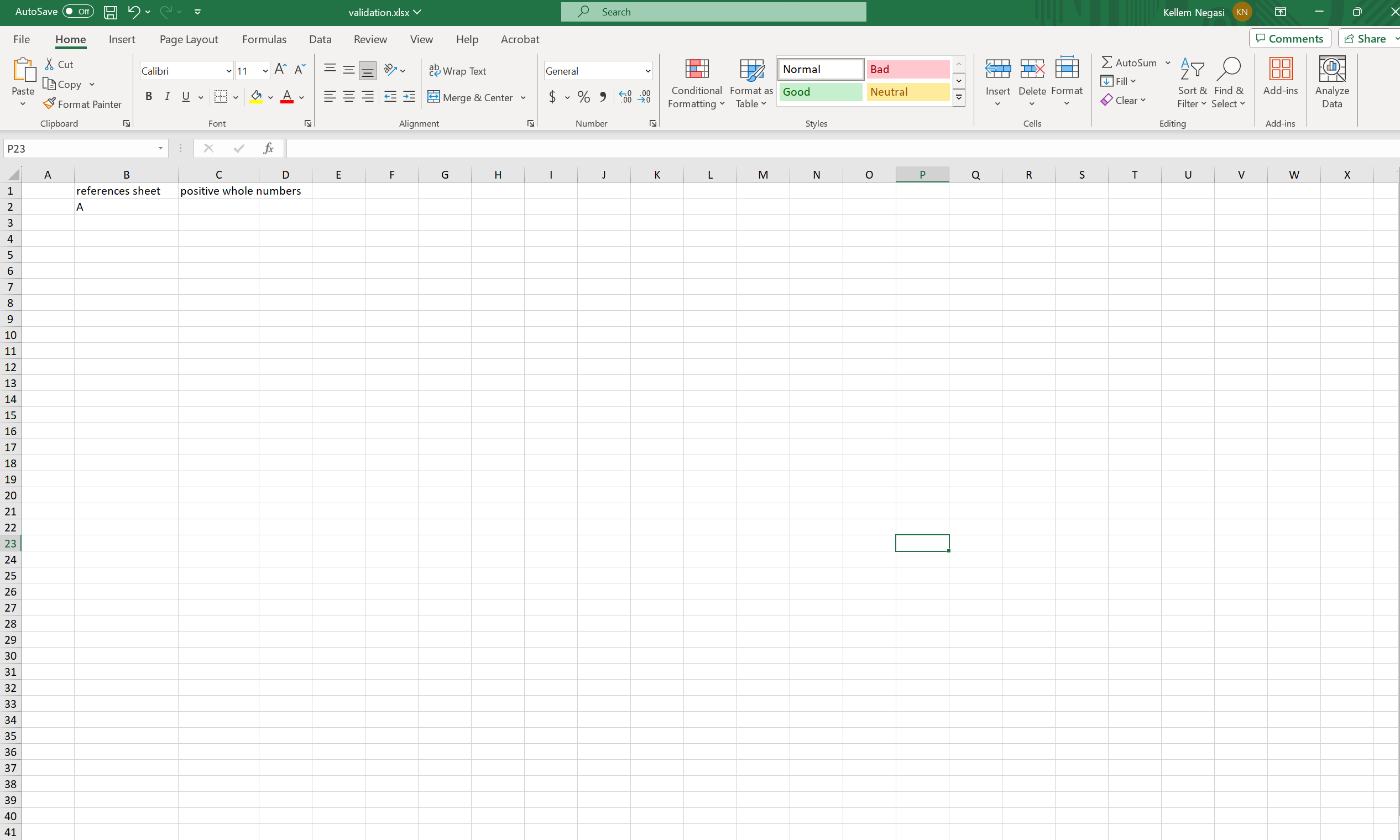 Workbook with data validation applied
